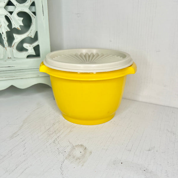 Mismatched Tupperware Bowl